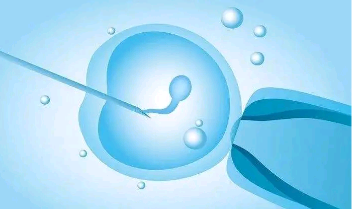 温州供卵试管包出生 2023温州医科大学附属第一医院能做供精试管婴儿吗？ ‘
