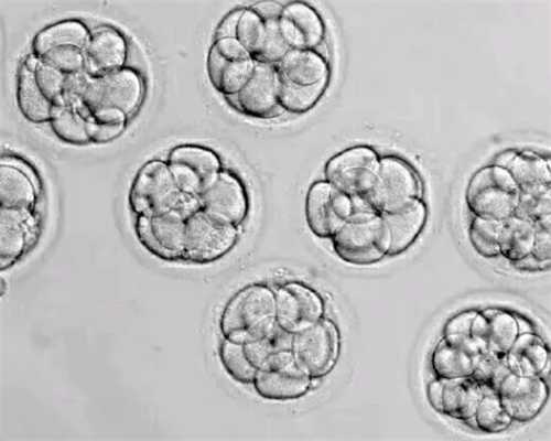 试管胚胎发育不好可以移植吗？