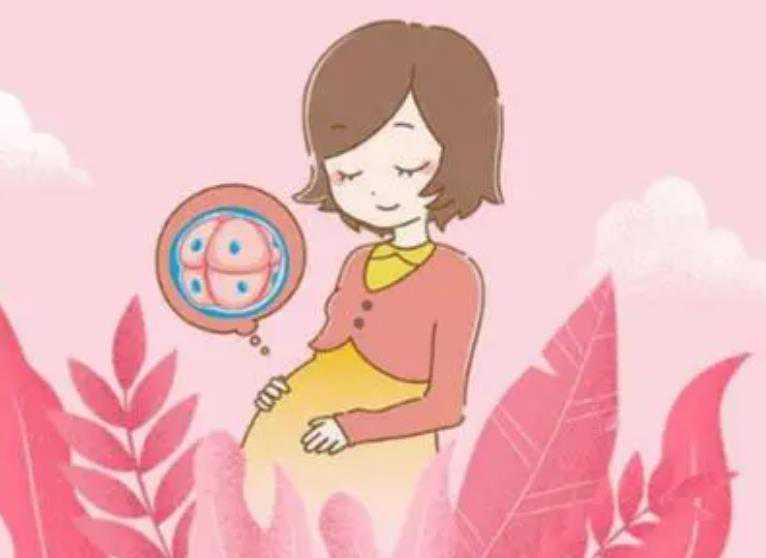 苏州捐卵泰妹 2022苏州三代试管婴儿医院大全 ‘五个月男女胎儿肚型图’